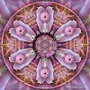 My work featured in Wide Open Digital at Digital Arts: California Dombeya-Play4at800web