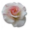Feminine Rose Mystique Base image (center) and two "foundlings" for "Victoria Rose."
