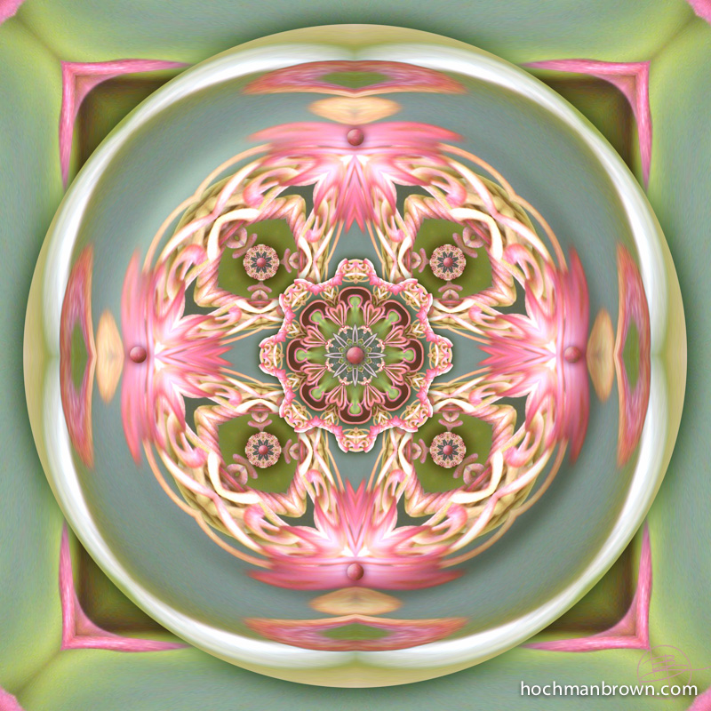 Passion-Tendril-Vessel