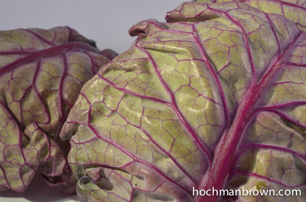 Purple Brussels Sprouts base image Purple Brussels Sprouts_base_400wm