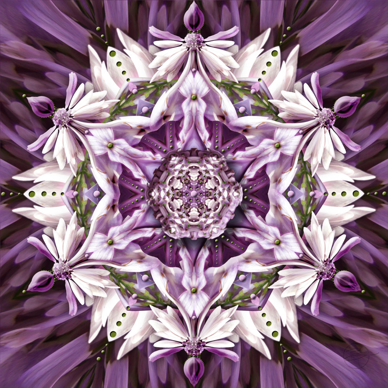 Lilacs In Gloom