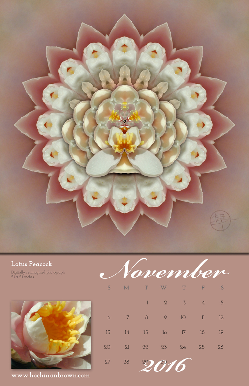 This is a calendar image of Karen Hochman Brown's Lotus Peacock for November 2016