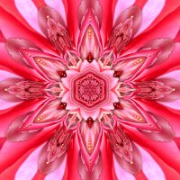 In The Court Of The Crimson Queen