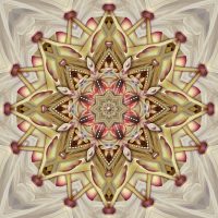 Sanctuary Of Magnolia Stamens